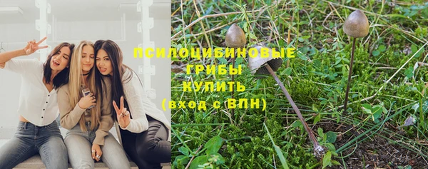 экстази Богданович