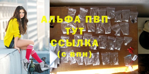 экстази Богданович