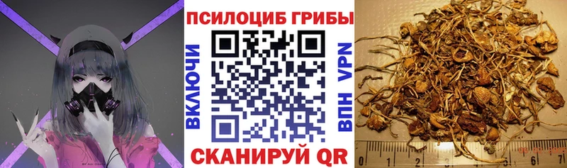 Галлюциногенные грибы Psilocybine cubensis  Кологрив 